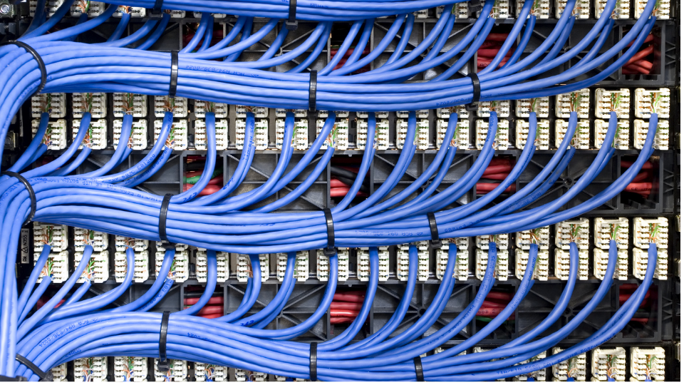 A variety of communication cables including Ethernet, fiber optic, and coaxial, highlighting their role in connecting the world
